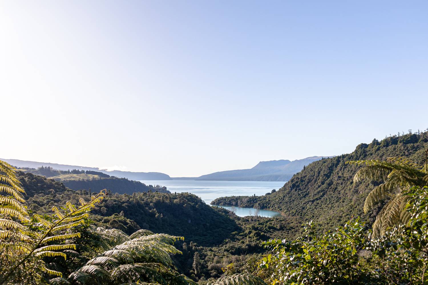 lake tarawera lookout