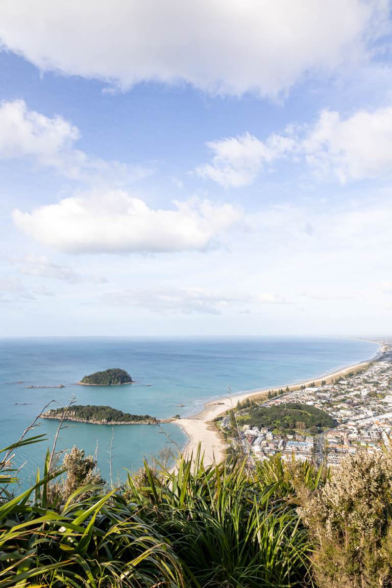 Mount Maunganui from the summit