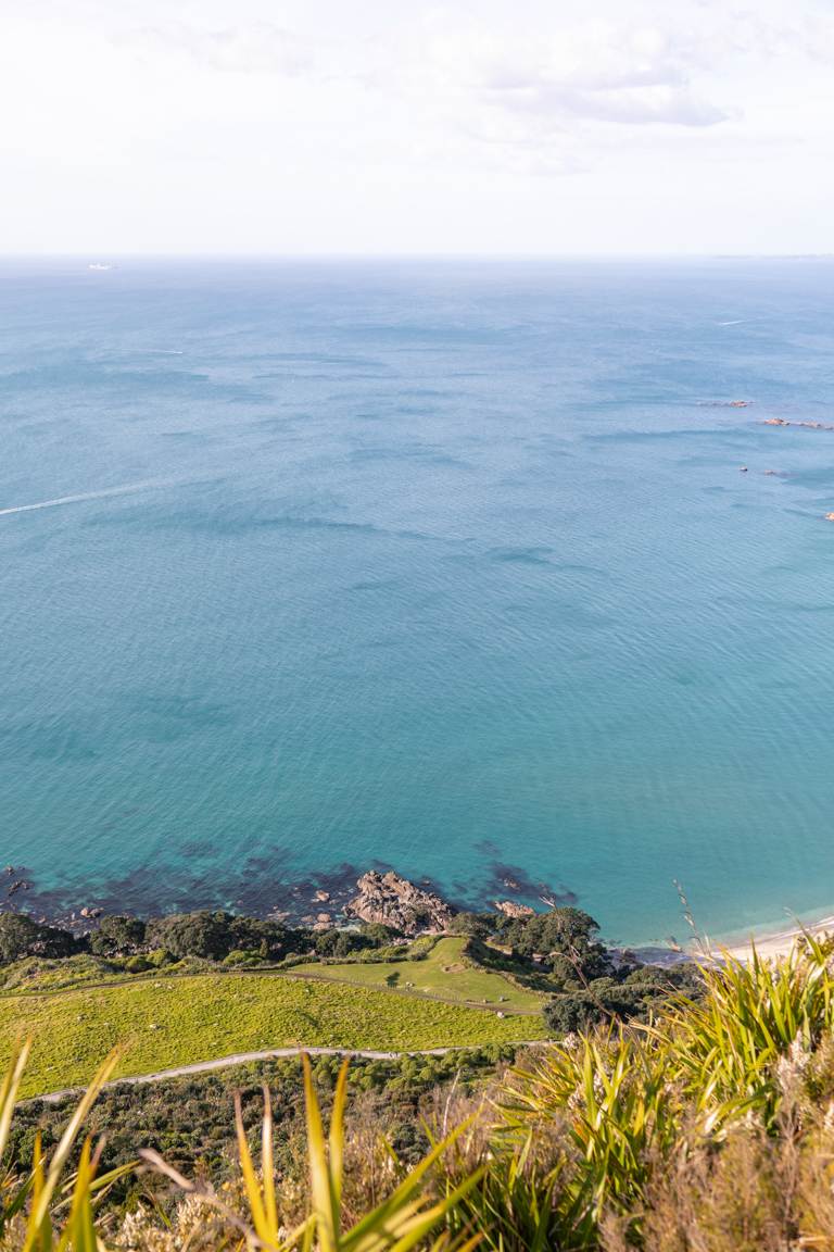 view of the pacific from Mount Maunganui New Zealand summit