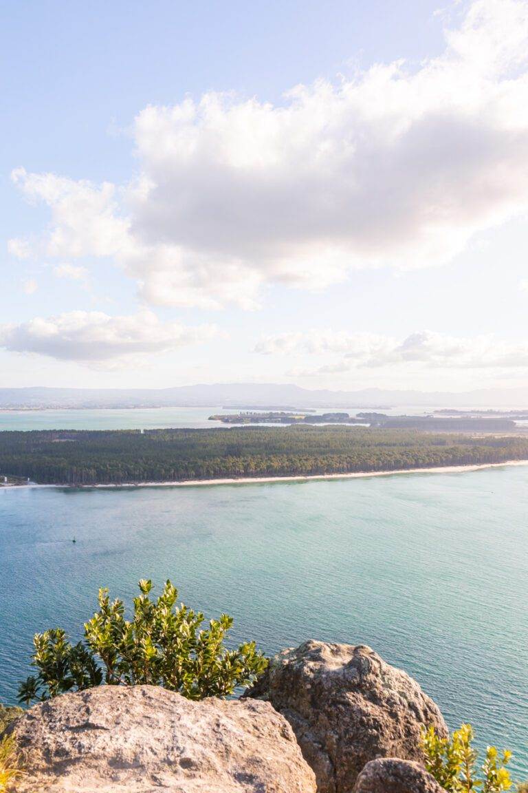 View of Matakana Island whilst hiking north island New Zealand