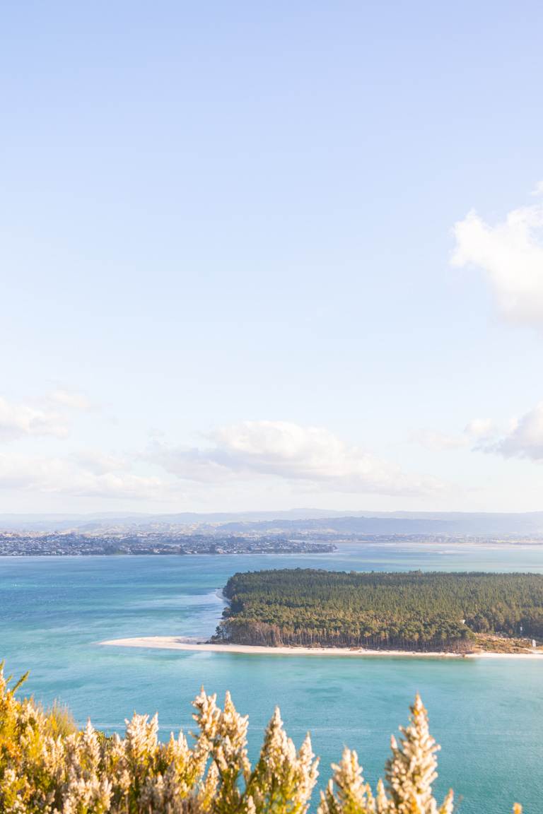 Matakana Island and Tauranga from Mount Maunganui New Zealand