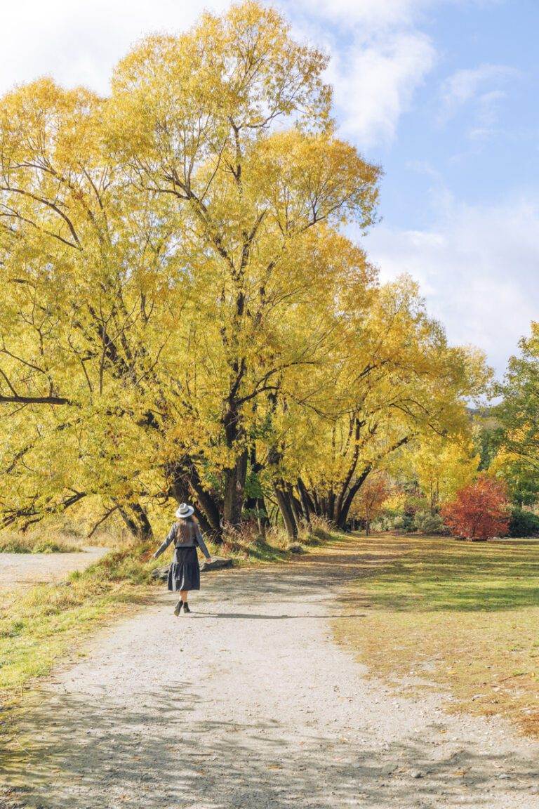 outskirts of arrowtown during autumn