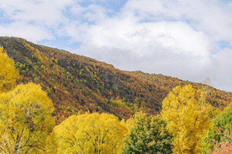 arrowtown autumn