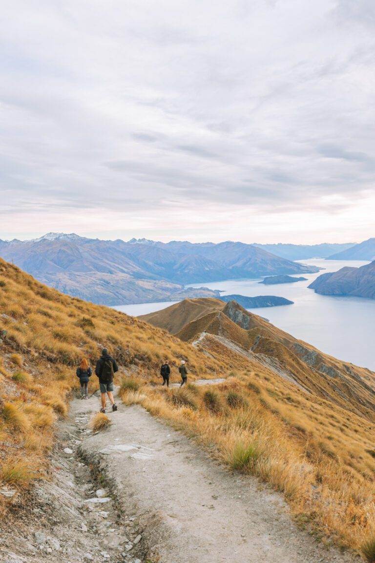 hike roys peak new zealand pathway