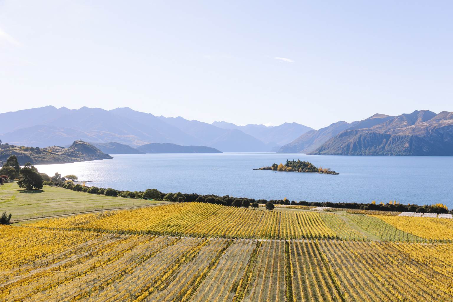 lake wanaka and rippon winery