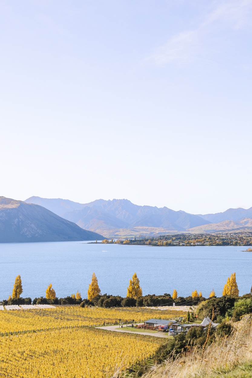 South Island landscape photography views from rippon winery in wanaka