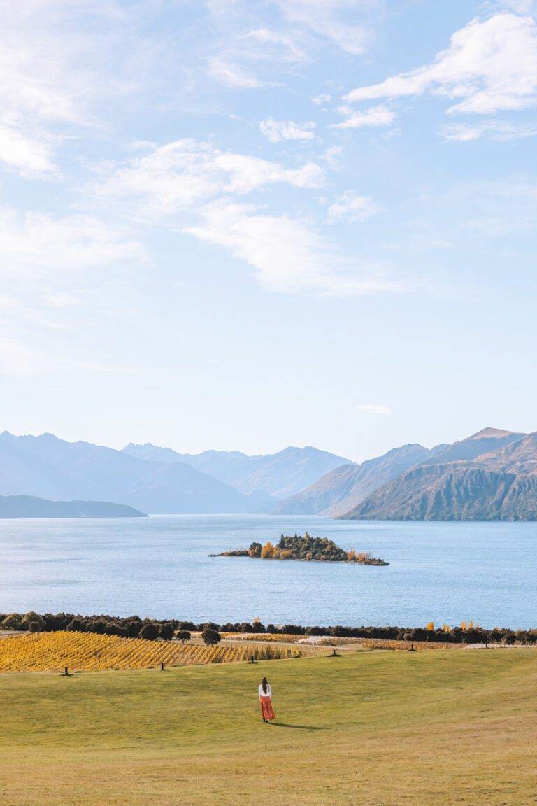 woman standing at rippon winery looking over lake wanaka