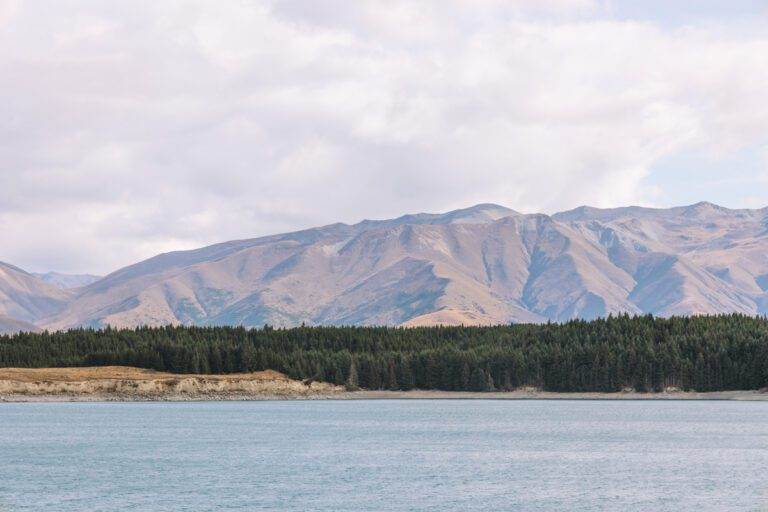 Lake Pukaki in Aoraki/Mount Cook National Park Photos