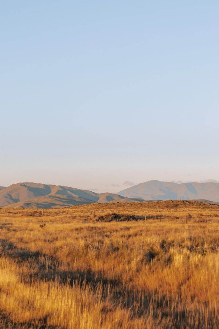 landscape views in mackenzie country, south island