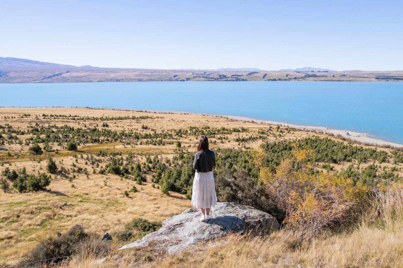 lake pukaki view