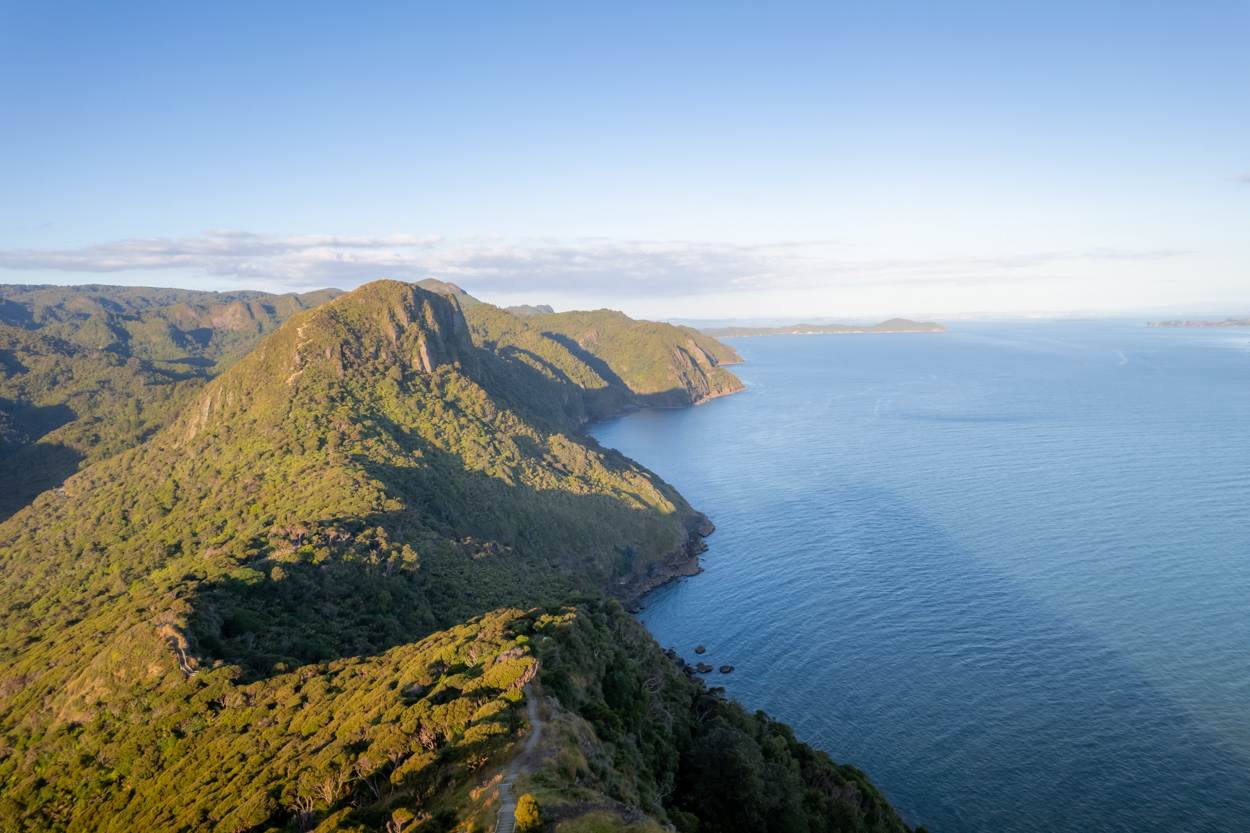 landscape photography of omanawanui in north island new zealand