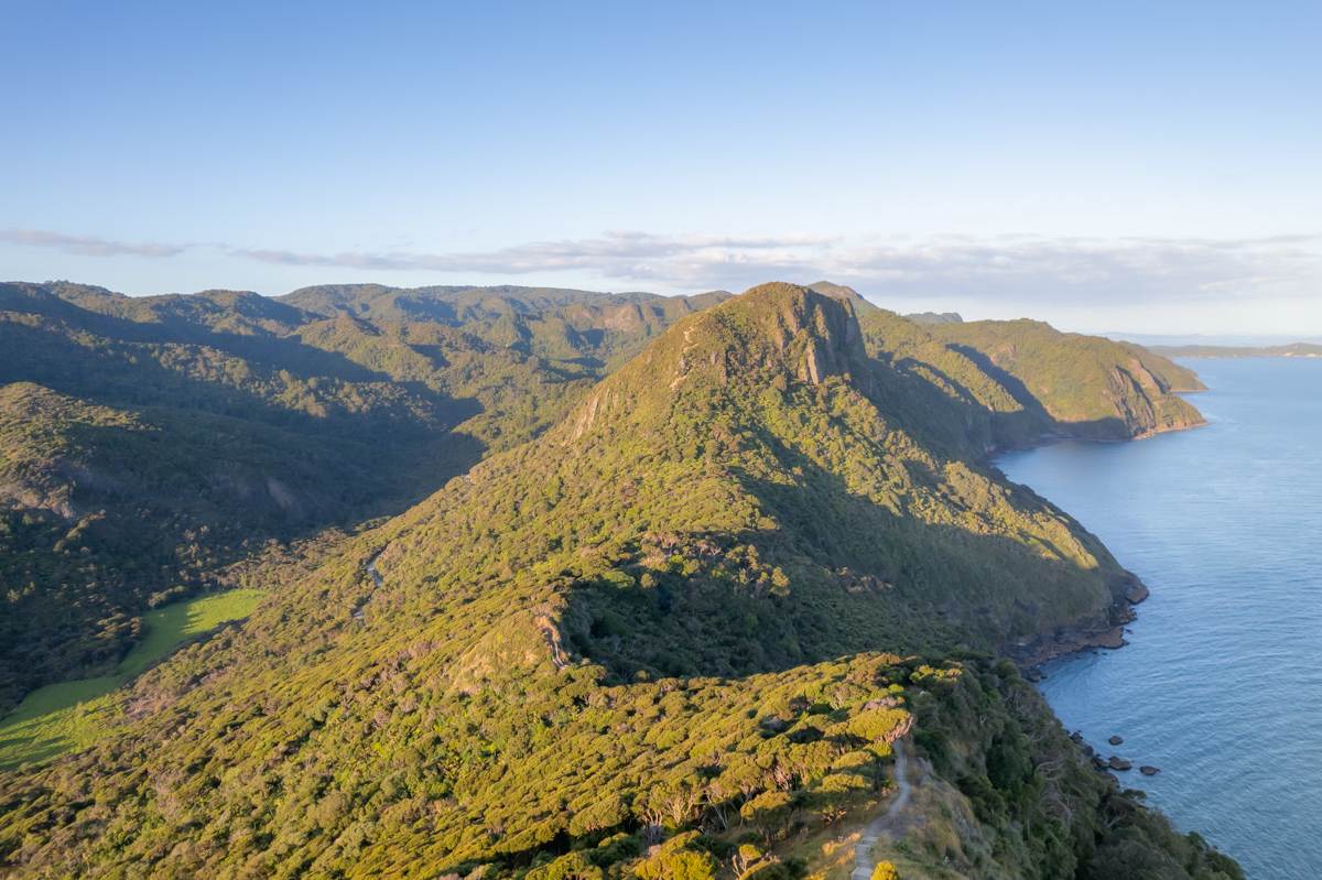 landscape drone shot of Waitākere coastline