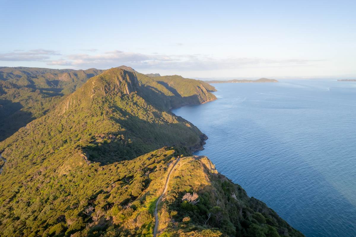 landscape drone shot of Waitākere coastline from Omanawanui track in West Coast Auckland