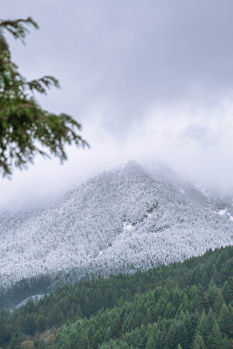 green and white mountains in queenstown