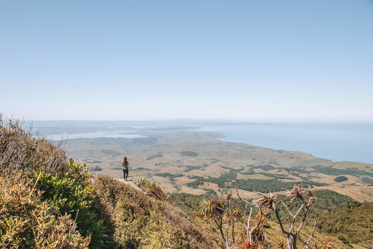 girl standing at summit after hiking mount karioi