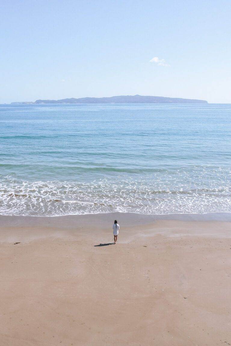 opito bay beach in coromandel