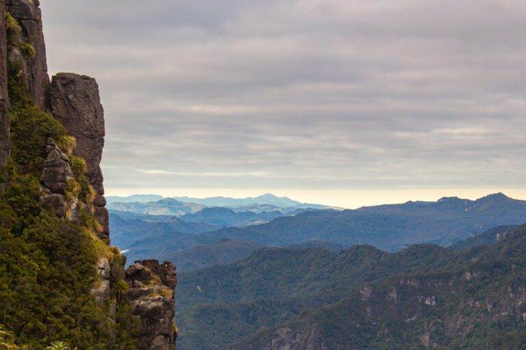 view from hiking pinnacles, north island new zealand