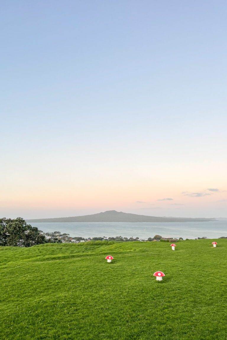 view of Rangitoto from Mount Victoria Lookout Auckland