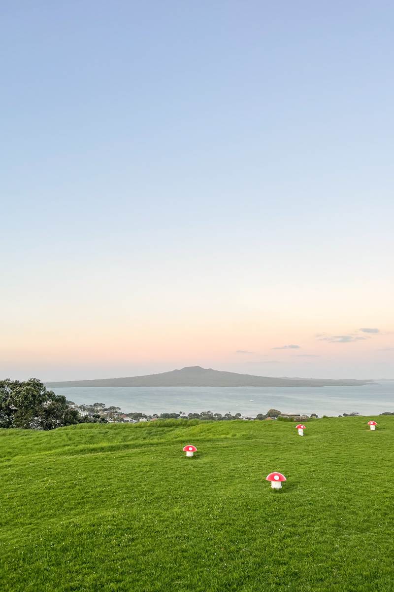 view of Rangitoto from Mount Victoria Lookout Auckland