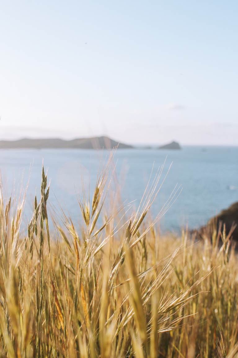 Opito Bay Pā greenery and scenery