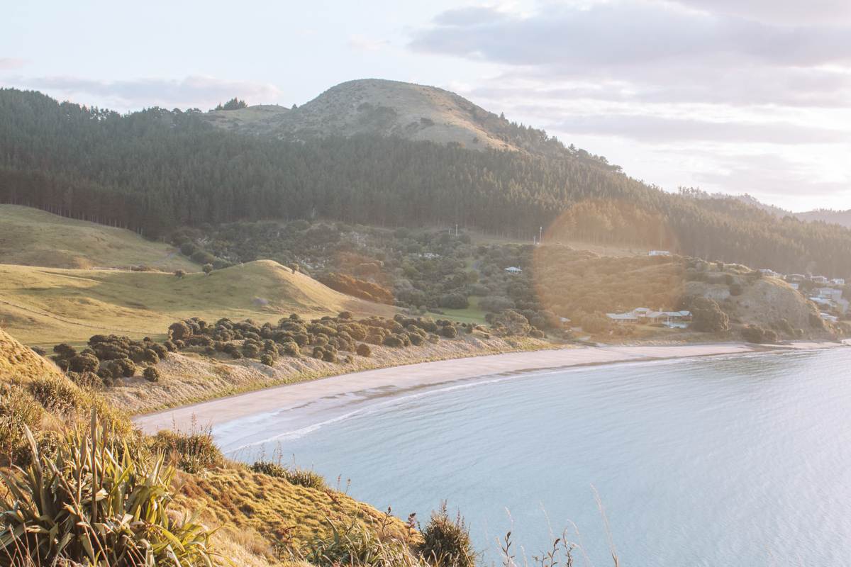 landscape of Opito Bay beach from Opito Bay Pā