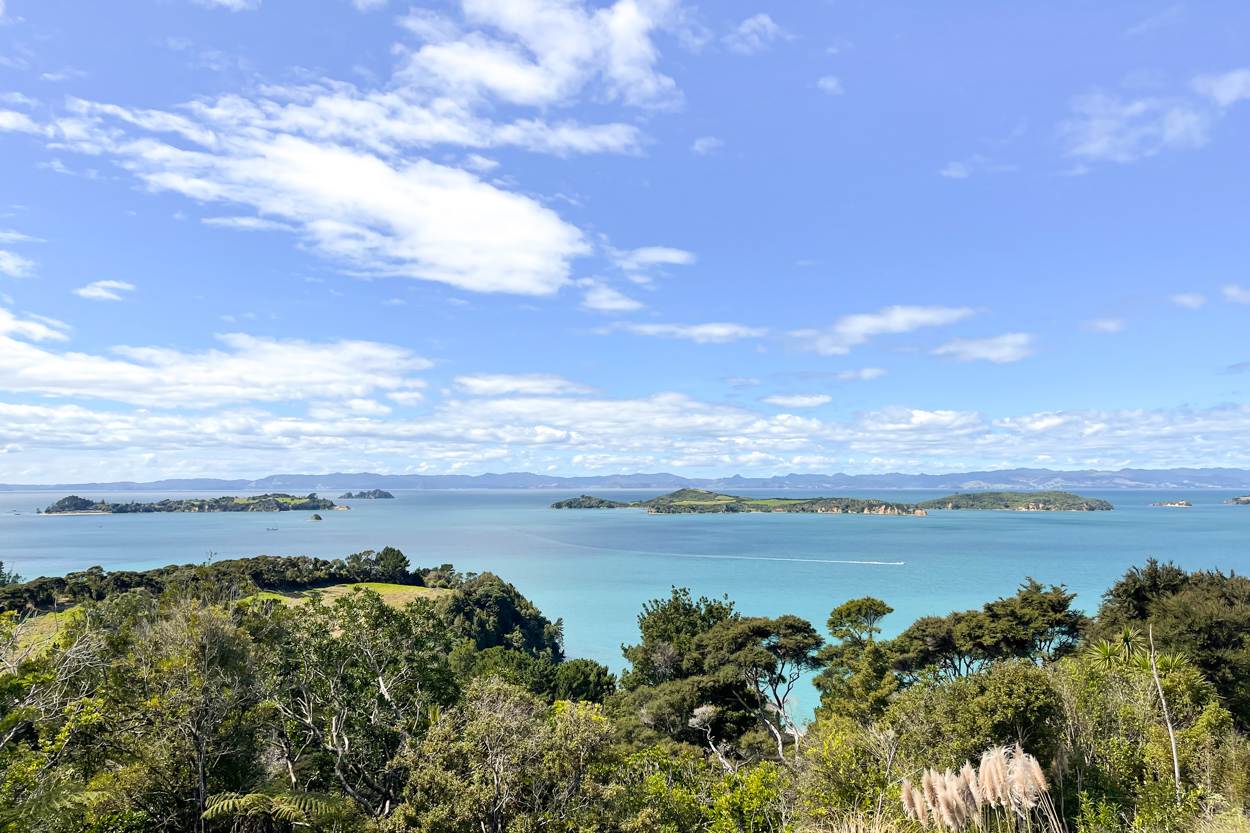 a view to expect when visiting waiheke of hauraki gulf