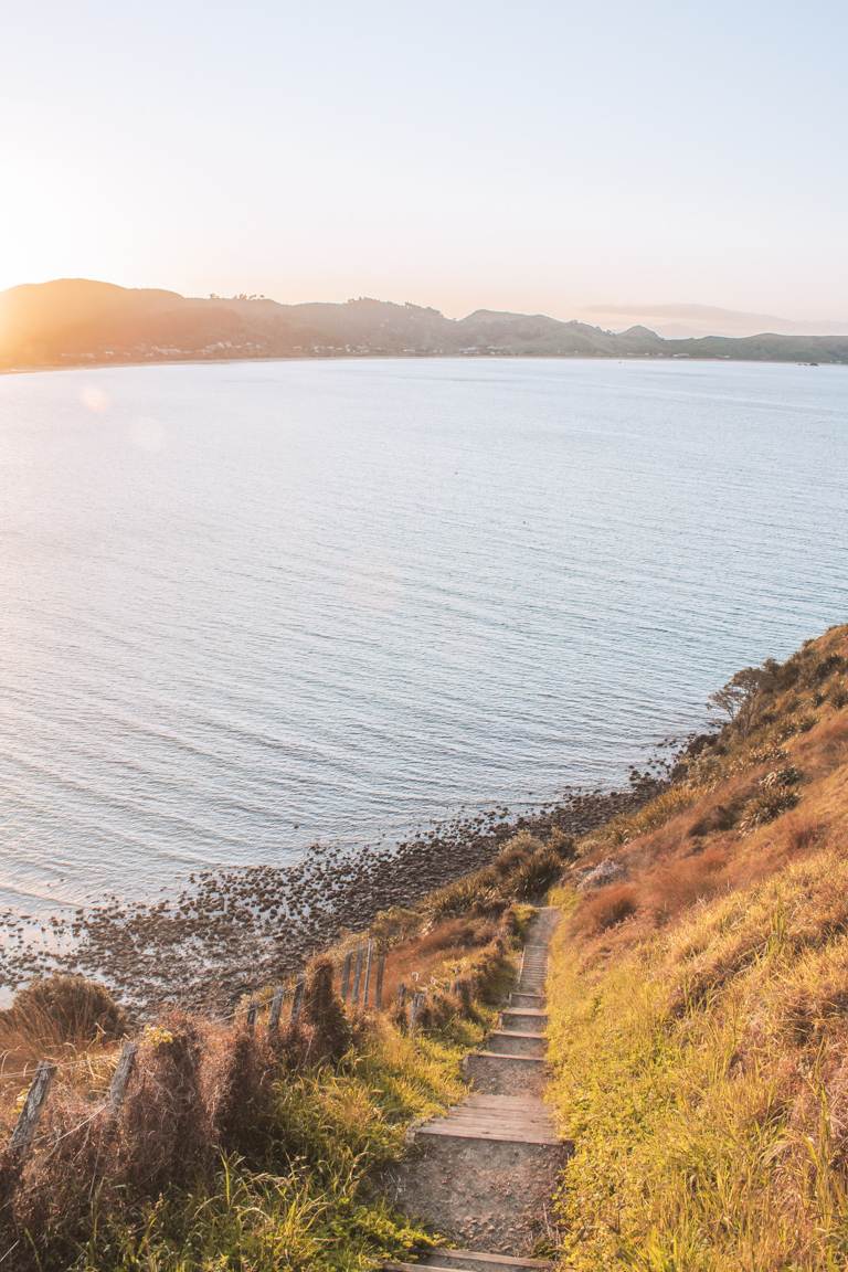 stairs leading up to Opito Bay Pā