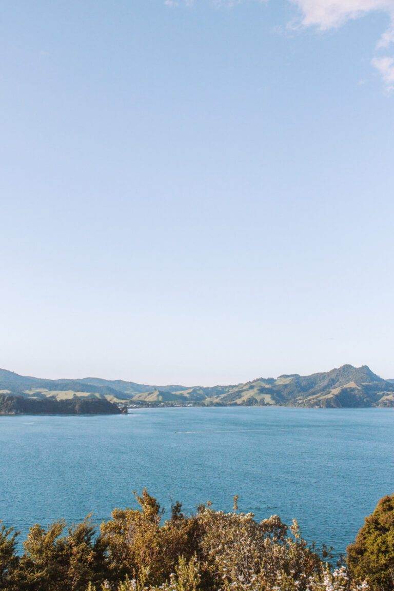 view of whitianga from shakespeare cliff lookout