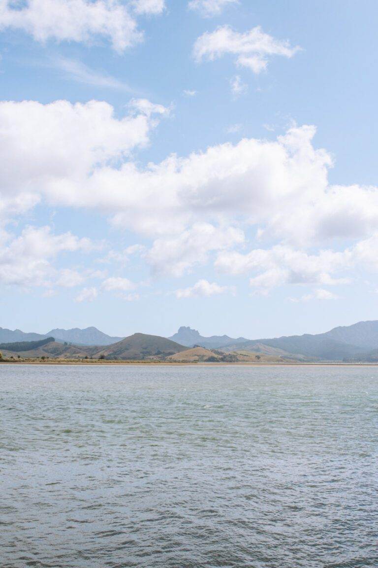 view of matarangi harbour coromandel destinations