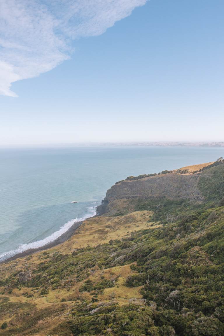 cliff view walk, raglan