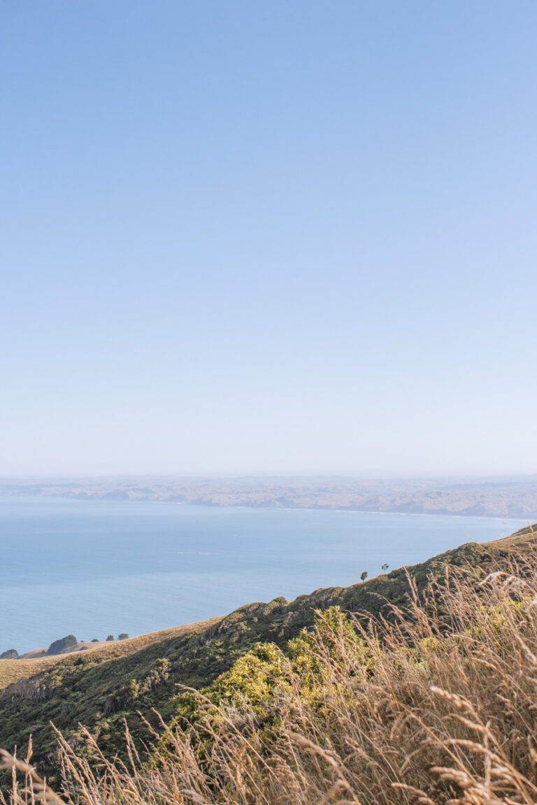 views from hiking mount karioi north island new zealand