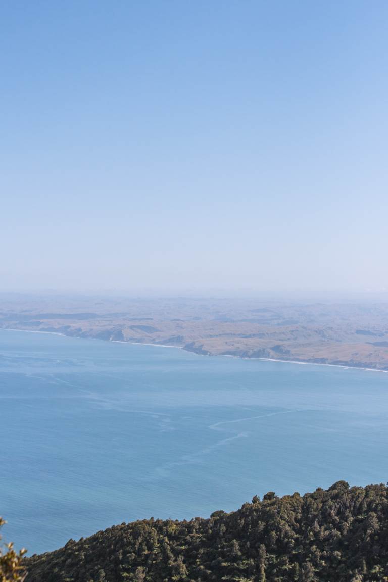 view of west coast north island new zealand