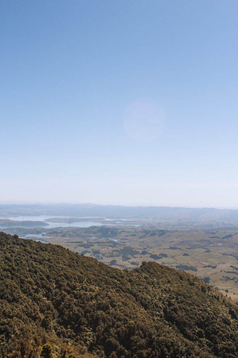 landscape view from mount karioi summit new zealand