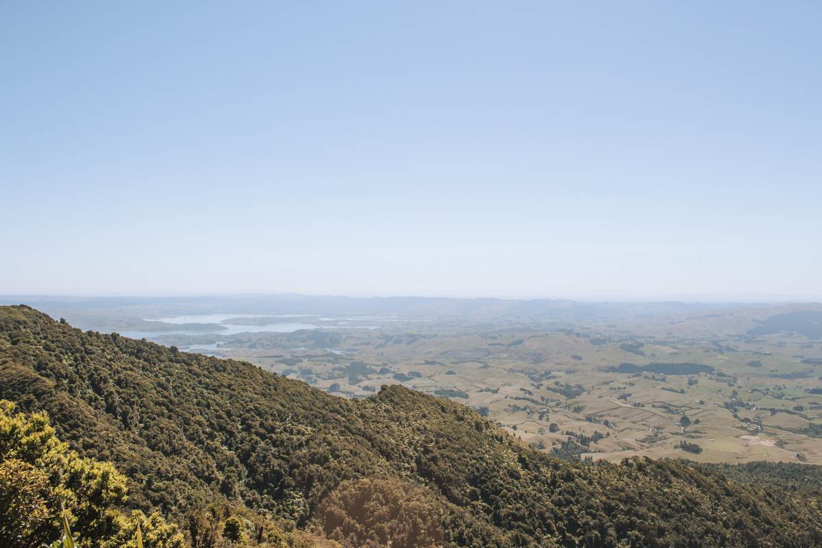 landscape view of waikato from mount karioi