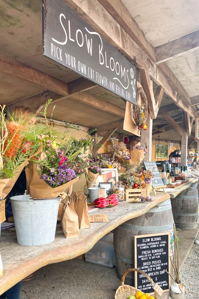 aucklands matakana market