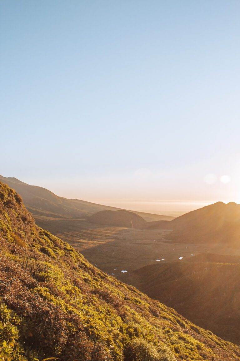 view of egmont national park at golden hour