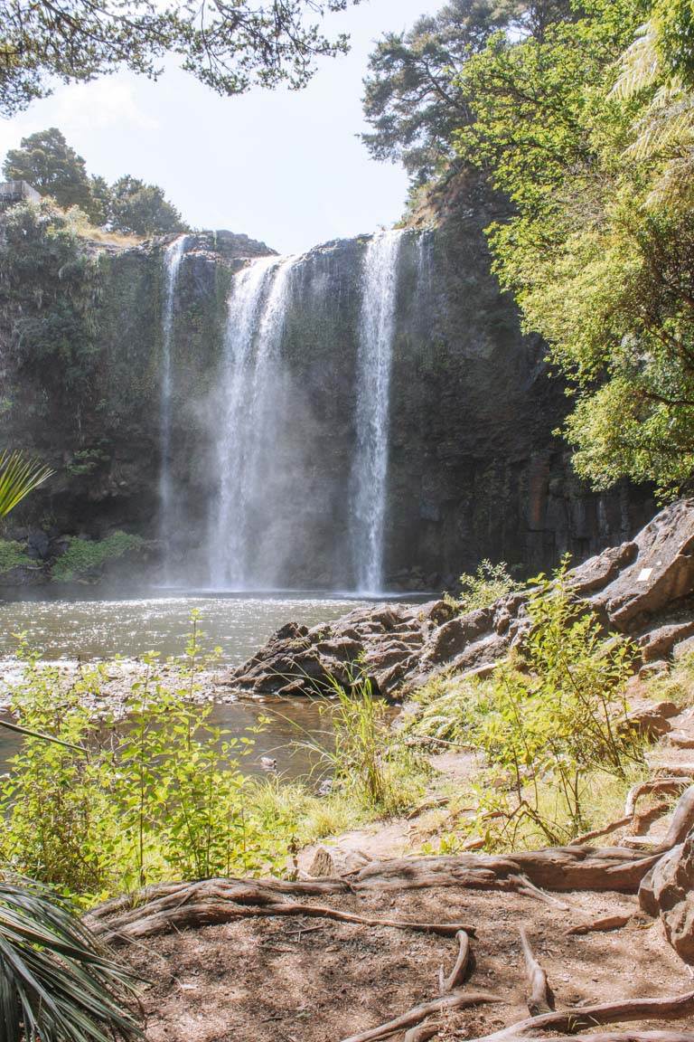 morning at whangarei falls