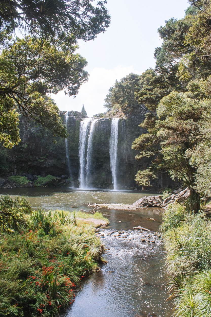 whangarei falls, northland