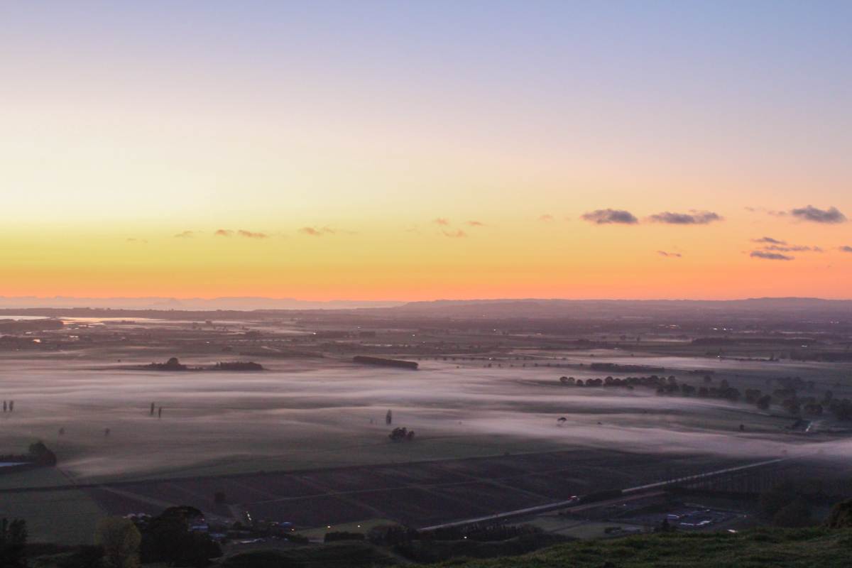 before sunrise at Papamoa Hills Regional Park landscape