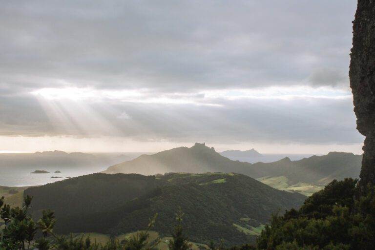 sunrise landscape of whangārei