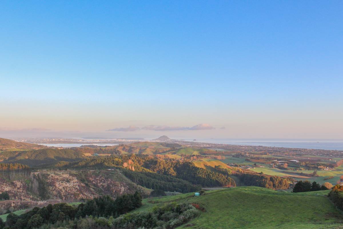 view of Mount Maunganui sunrise