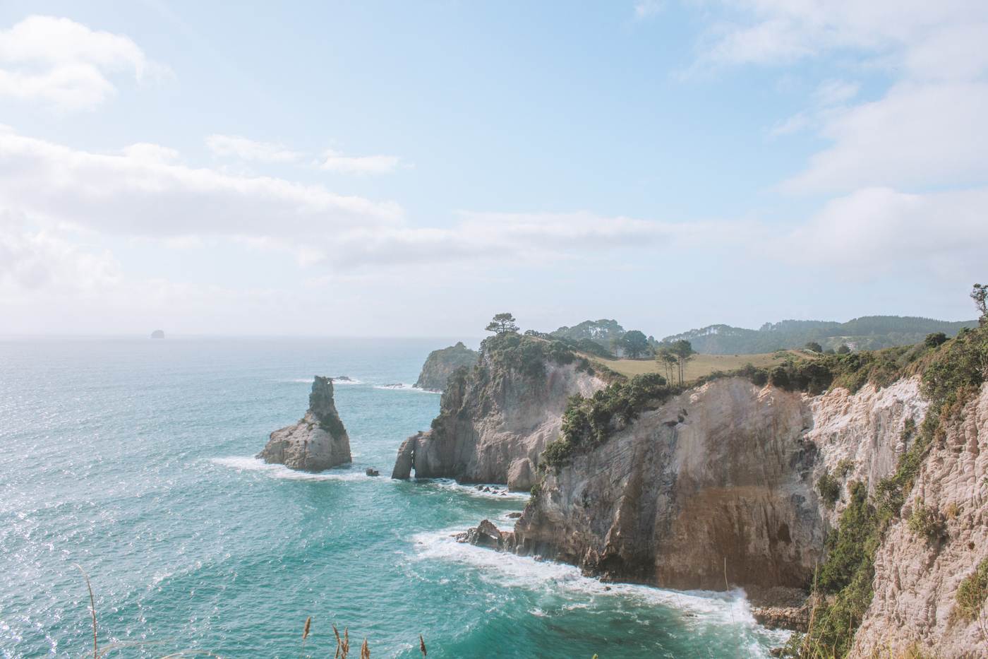 coromandel destinations goats trail from pare point