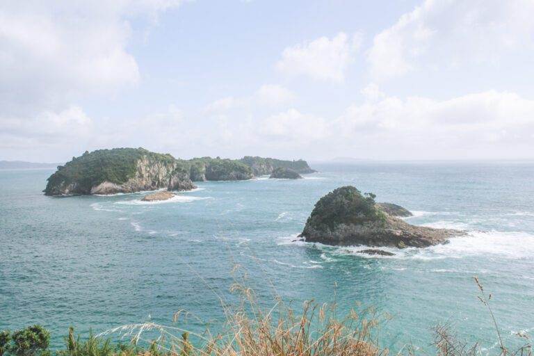 view from te pare point