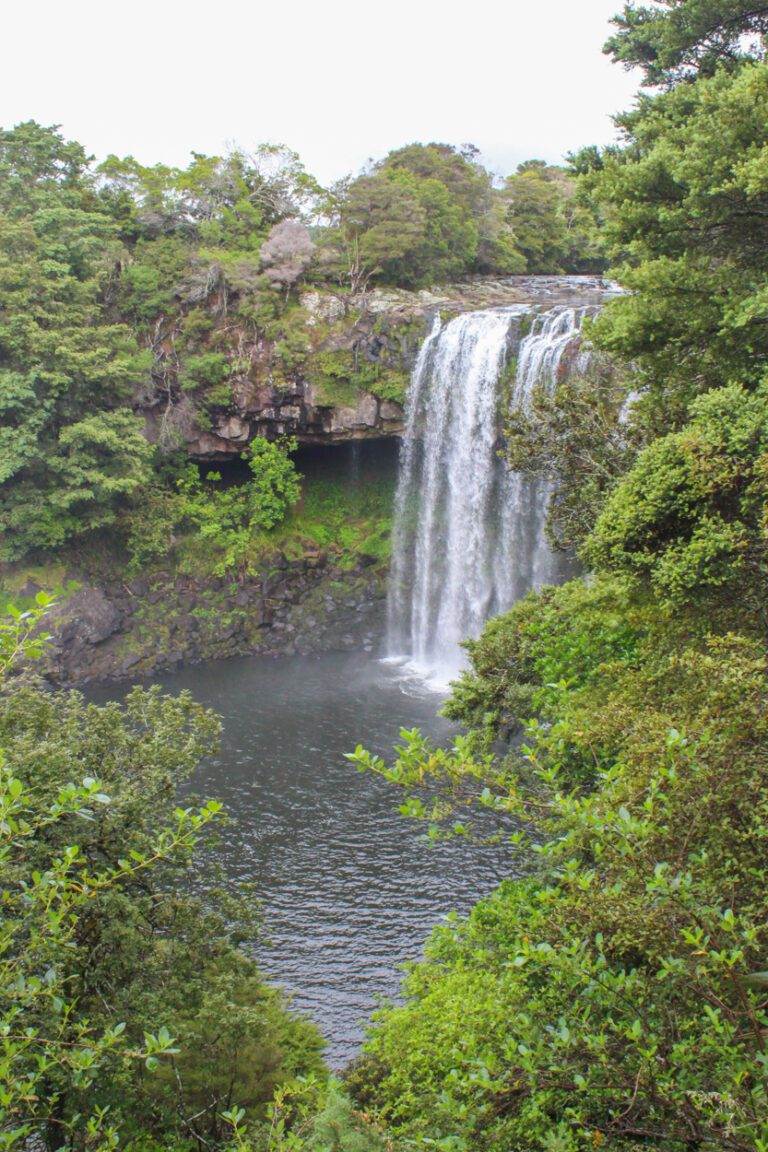 rainbow falls in northland