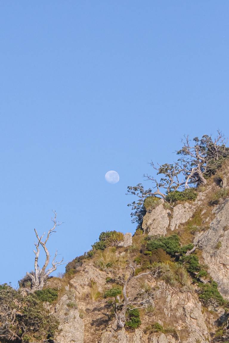 moon at sunrise in new zealand