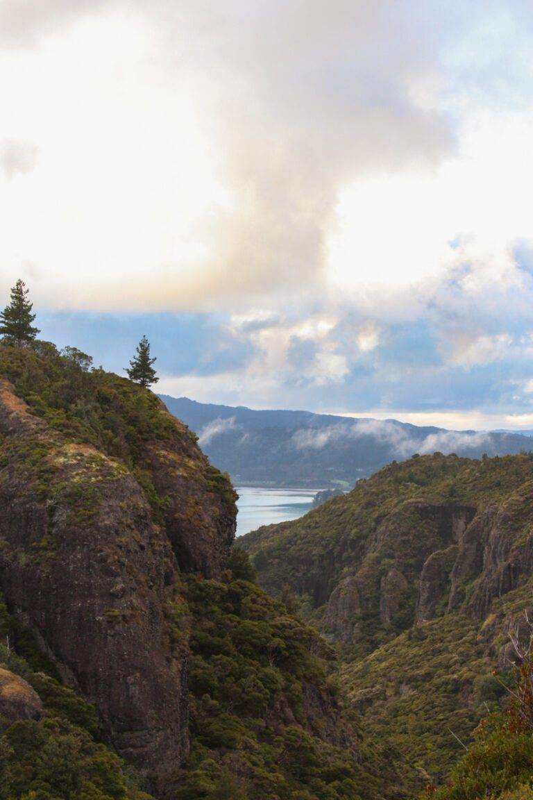 view from dukes nose hiking in northland, north island New Zealand