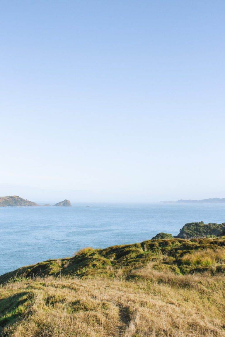 view of opito bay pā