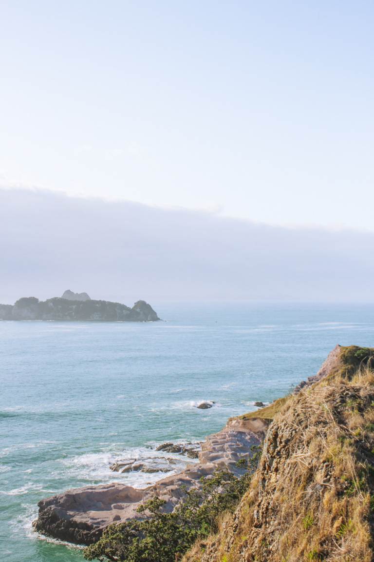 view from crayfish bay lookout