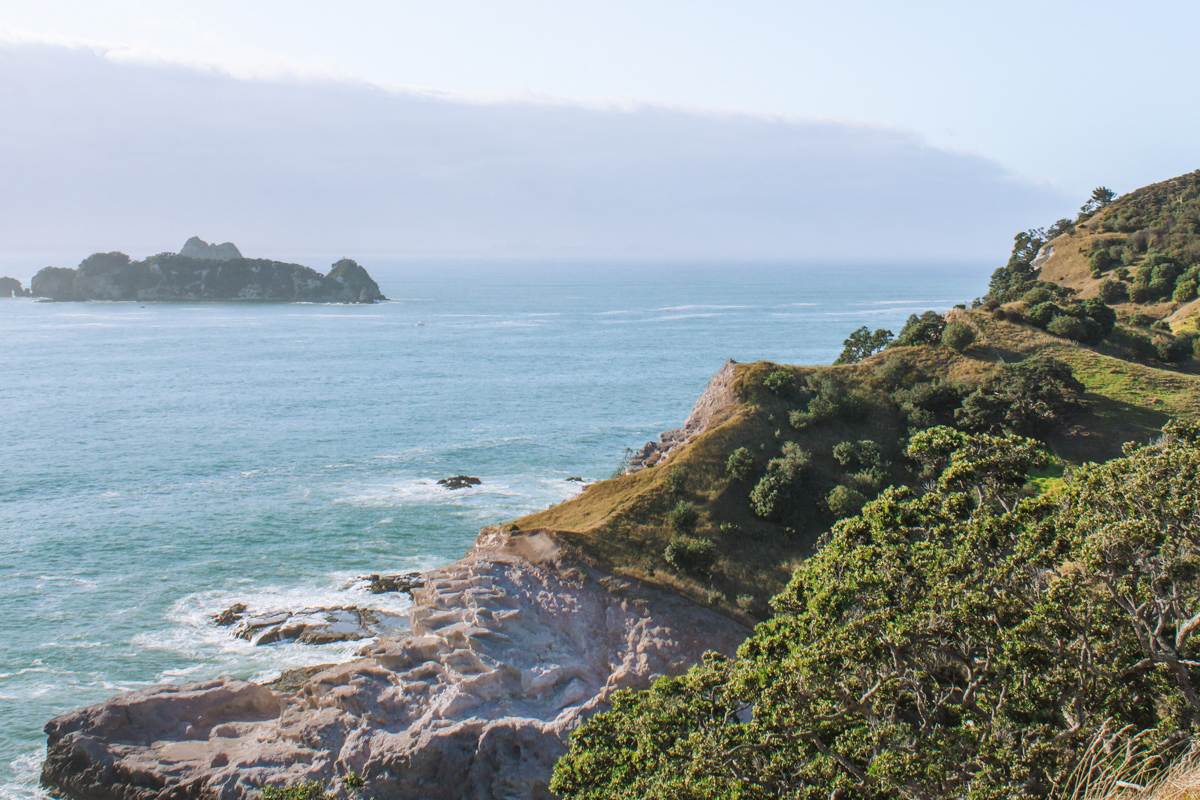 landscape of crayfish bay from opito bay pā