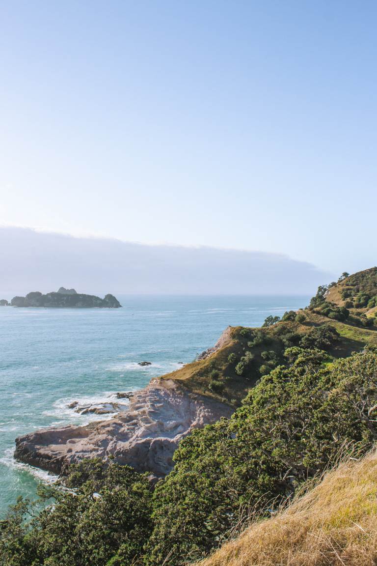 view of Crayfish Bay from Opito Bay Pā